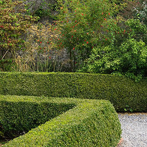 Good example of Formal Hedge