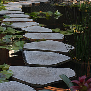 garden pond