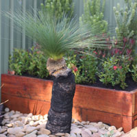 wooden garden planters pots