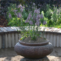 ceramic plant pots