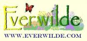 wildflower seeds