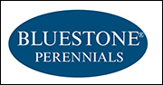 Bluestone Perennials