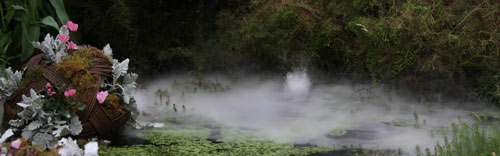 Pond Design