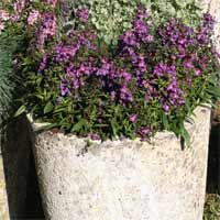Concrete Planter