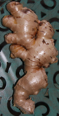 Ginger Root