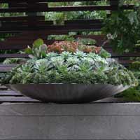 Ornamental Garden Plants