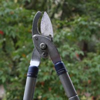 Rose Loppers
