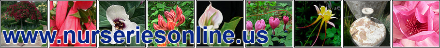 US Nurseries